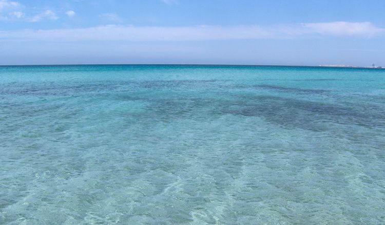 הוילה Lido Conchiglia Vacanza Lido Conchiglie מראה חיצוני תמונה